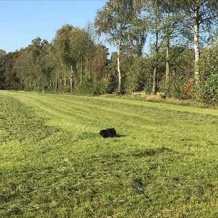 Am Komisenpad Appartement Südlohn