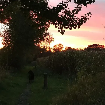 Am Komisenpad Apartamento Südlohn