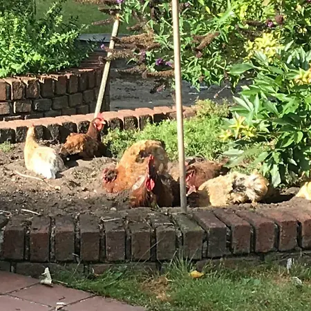 Am Komisenpad Südlohn