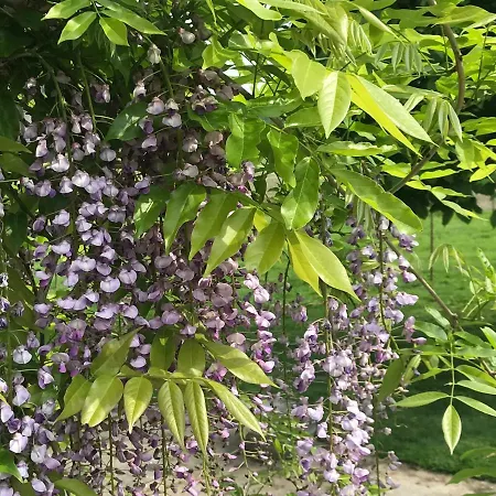 Apartment Am Komisenpad Südlohn