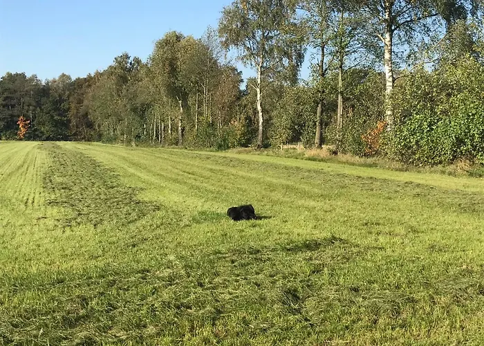 Am Komisenpad Lägenhet Südlohn