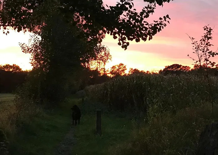 Am Komisenpad Lägenhet Südlohn