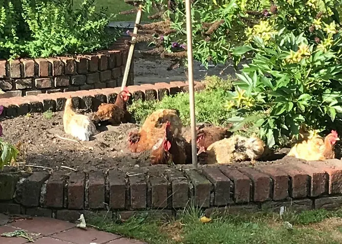 Am Komisenpad Südlohn