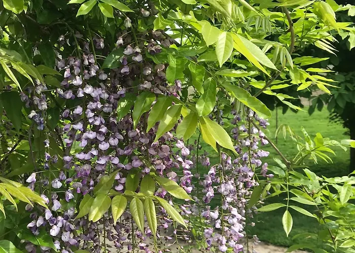 Lägenhet Am Komisenpad Südlohn